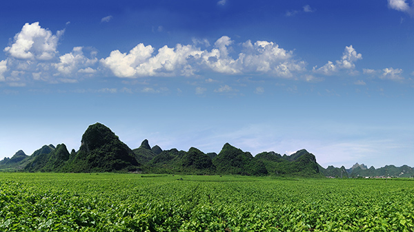 桑園基地（藍(lán)天）.jpg