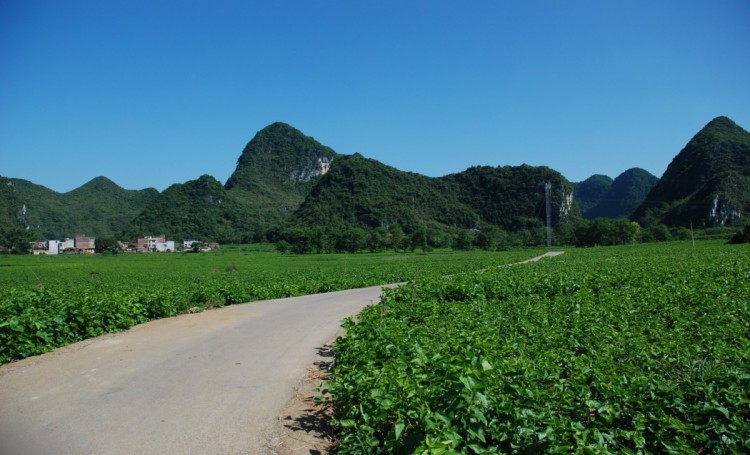 桑園基地1.jpg
