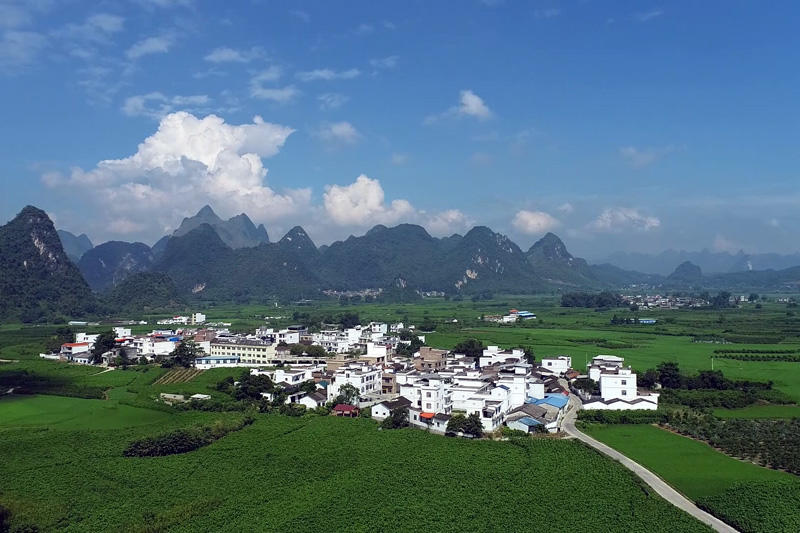 桑園環(huán)抱中的上坪村。